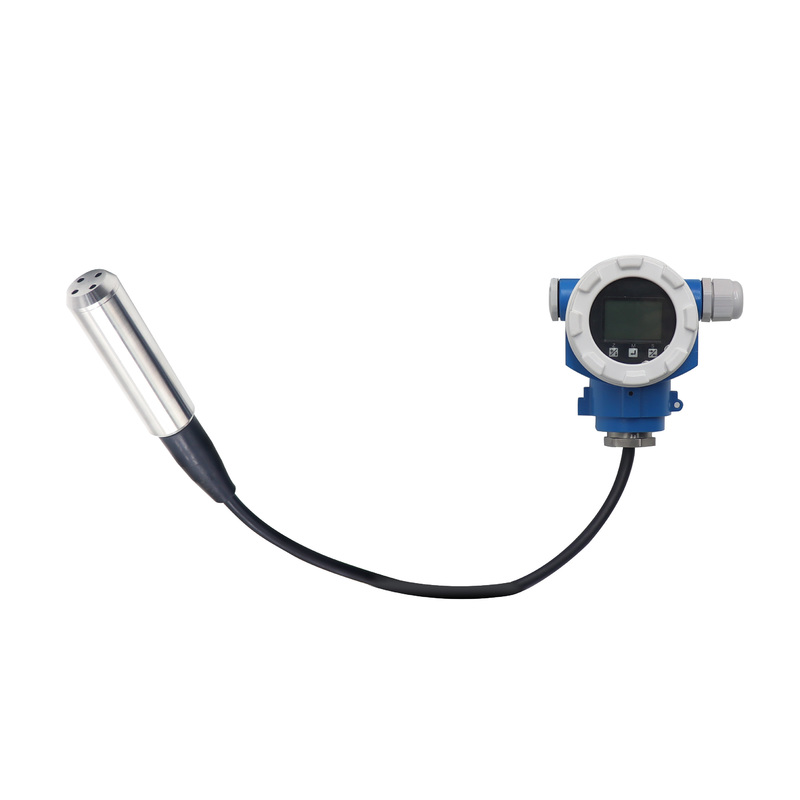 ATEX Explosion Proof IP68 Submersible Water Tank Level Sensor With 4~20mA RS485 Output