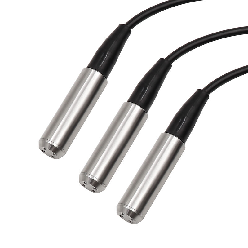 WNK 4~20mA 0-10V RS485 স্টেইনলেস স্টীল নদী ও হ্রদের জন্য ওয়াটার ট্যাঙ্ক লেভেল সেন্সর